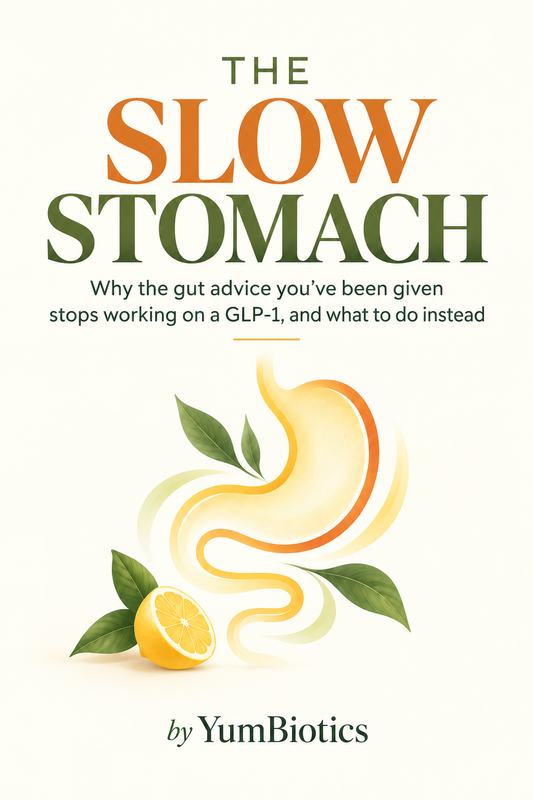 The Slow Stomach E-Book